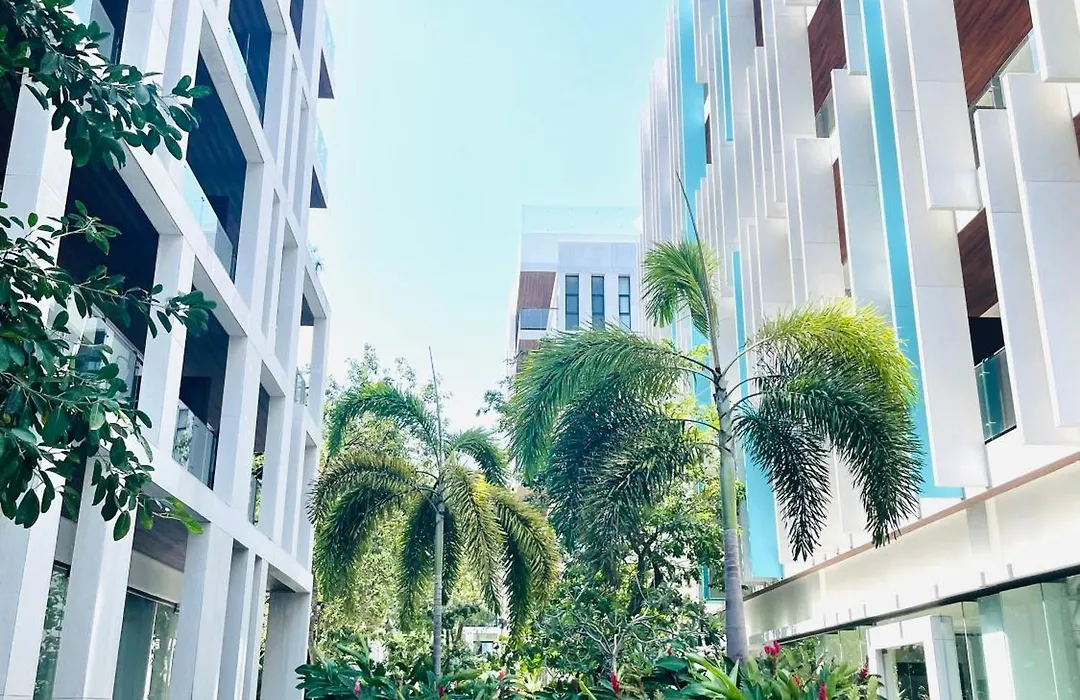 Serenada-1