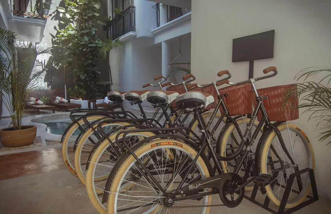 Hotel Banana Boutique & Spa - 5Th Av Playa Del Carmen-1
