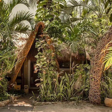 Hotel Casa Colibri-3