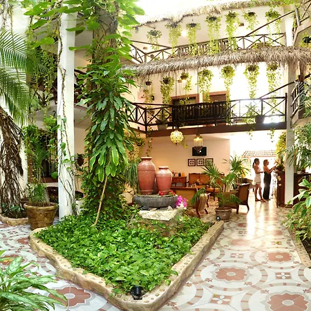 Posada Mariposa Boutique Hotel - 5Th Avenue-2