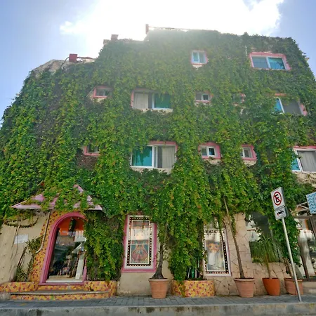 Casa Delfin-3