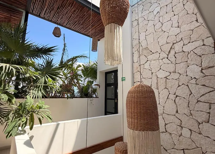 Ah Xok suites 5a Avenida Playa del Carmen